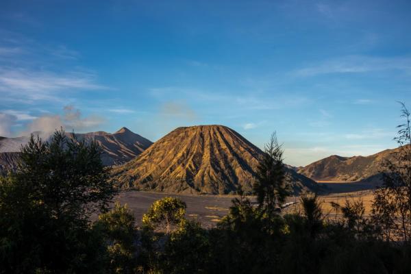Cemara Indah Hotel, Đặt Khách sạn Khách sạn Giá rẻ tại Bromo