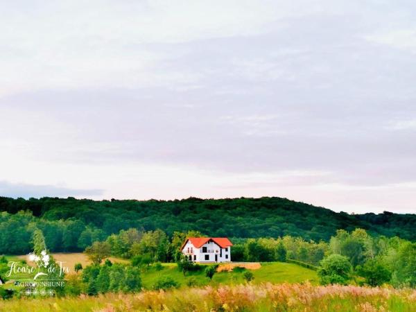 Agropensiunea Floare de Tei, Đặt Nghỉ tại trang trại Khách sạn ở Carpathians - Romania có hồ bơi, Hồ bơi
