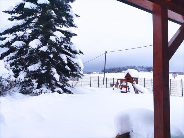 Ferienhaus am Hochficht Mühlviertel in Oberösterreich, Đặt Biệt thự Freundorf Upper Austria
