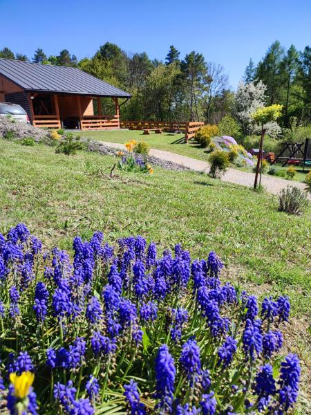 Roztocze, Domek Na Leśnym Wzgórzu nr2,Krasnobród,Zamość, Zwierzyniec, jacuzzi, Đặt Nhà nghỉ dưỡng Krasnobród 