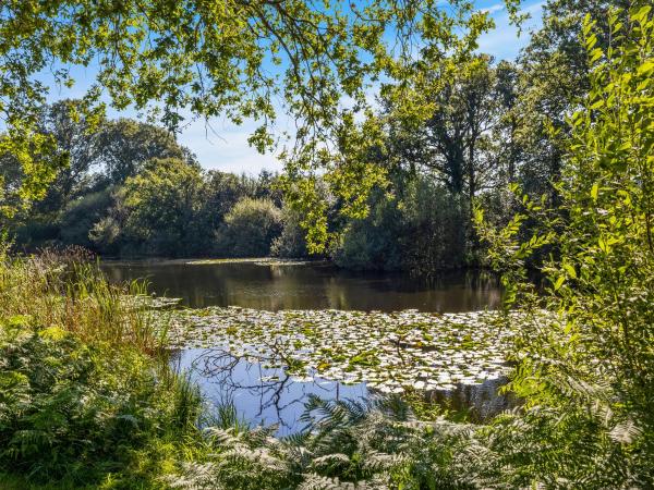 The Lodge At The Lake House, Đặt Nhà nghỉ dưỡng Ifold West Sussex