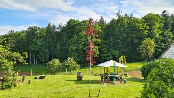 HOF-AREAL Südsteiermark Dein Ort für Poltergruppen & Hochzeiten, Đặt Nghỉ tại trang trại Khách sạn tại Styria có Bãi đậu xe, Bãi đậu xe