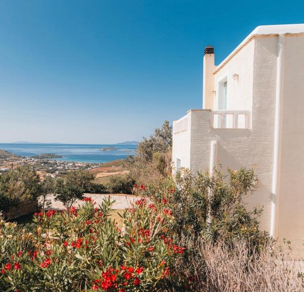 Villa Il Paradiso Andros, Đặt  Gavrio Andros Island