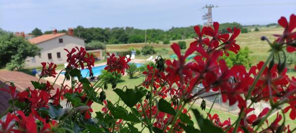 Moratto's Apartments, Đặt Căn hộ Khách sạn ở Umag Riviera có hồ bơi, Hồ bơi