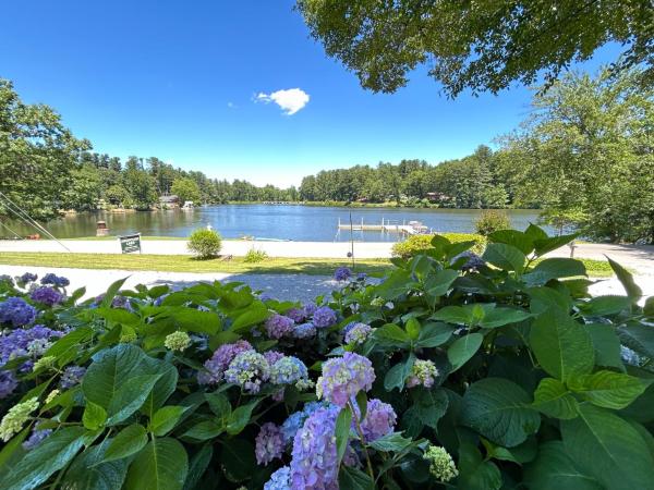 Mountain Lake Cottages, Đặt  Hendersonville Bắc Carolina