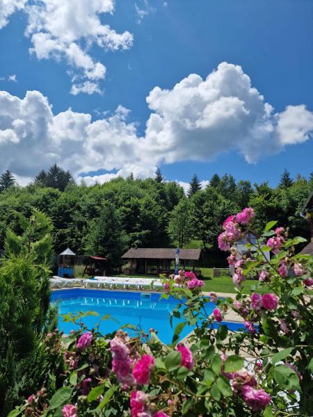 Pensiunea Andreea, Đặt  Mărgineni Brasov