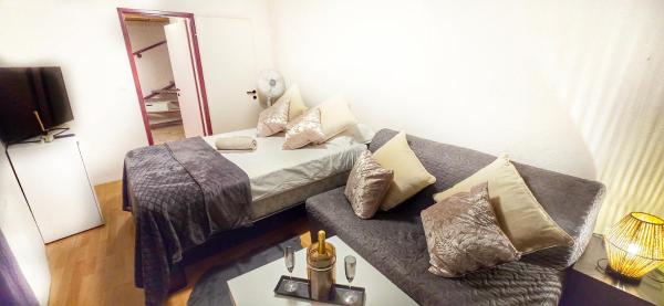 Au 26BIS 2 Appartements MONTREUX 1 Apartment niveau 0 et un autre appartement duplex niveau 1 et 2 15 minutes à pieds du centre de Montreux Lac Léman idéal pour balades en ville Montagne festivals Casino plages ski Fredy Mercury Marché de Noël, Đặt Căn hộ Montreux Lavaux