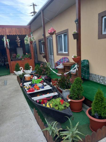 Casa Tulceanu, Đặt  Sulina 