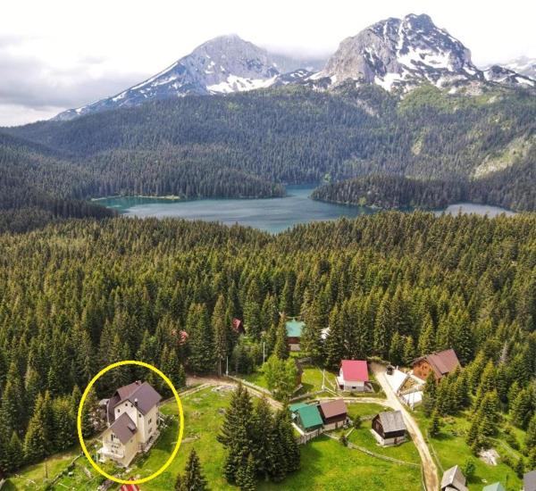 Apartment Durmitor, Đặt Căn hộ Zabljak Zabljak County