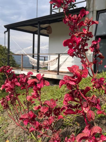 Cabañas Alondra, Đặt  Vergara Cundinamarca