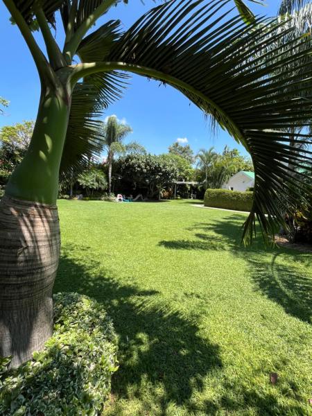 Hotel boutique LA FLOR, Đặt  Jiutepec Morelos