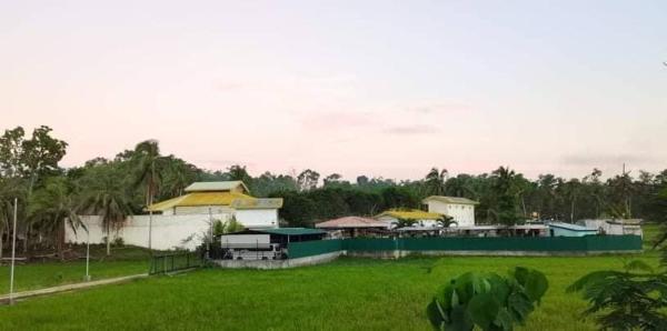 green aa garden resort, Đặt  Sikatuna Bohol