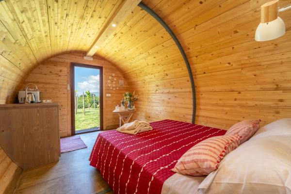 Dormire in una botte - Antiche Vigne Pironti, Đặt  Marzi Calabria