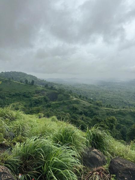 Banasura Wayanad, Đặt  Meenangadi Wayanad