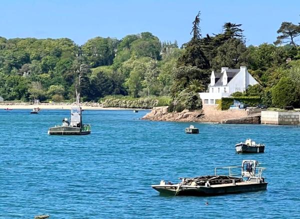 BB les pieds dans L\eau CARANTEC, Đặt  Carantec Finistère