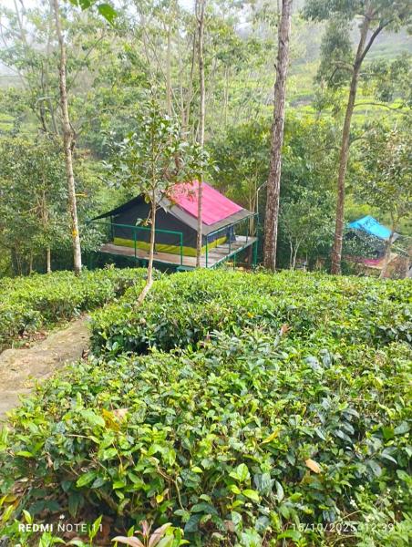 Organic Farmers Tent & Trekking, Đặt  Yedapalli Tamil Nadu
