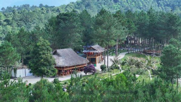Than Uyên Pineforest Homestay, Đặt  Bản Kiem Thành phố Lai Châu