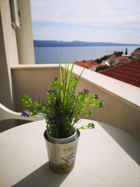 Anic Apartments Stanići, Đặt Căn hộ Stanići Split Region