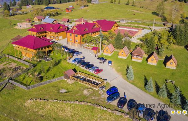Pensiunea Agroturistica Poiana, Đặt  Poiana Negrii Suceava