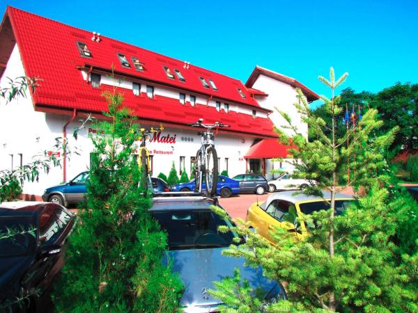 Pensiunea Casa Matei, Đặt Nhà khách Paclele Buzau